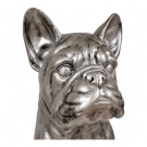 STATUE BOULEDOGUE FRANÇAIS EN RESINE ASSIS PATINÉ ARGENT 80 CM